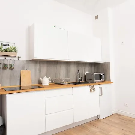 Old Town Apartment Poznan